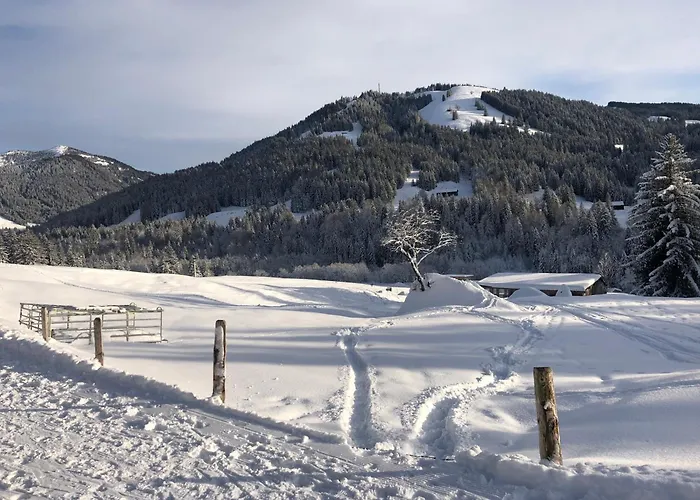 Alte Schmiede