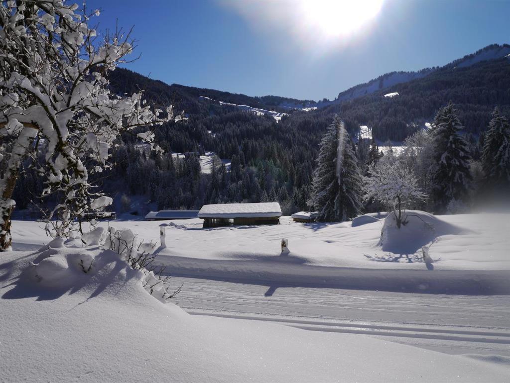 Apartment Alte Schmiede Balderschwang